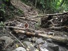 DSCF1695