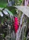 DSCF1767
