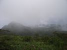 DSCF2126