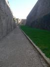 CIMG0737